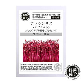 種 有機種子 アマランサス スプラウト 無農薬 水耕栽培 家庭菜園 自宅 簡単 栽培【種のみネコポス便可】