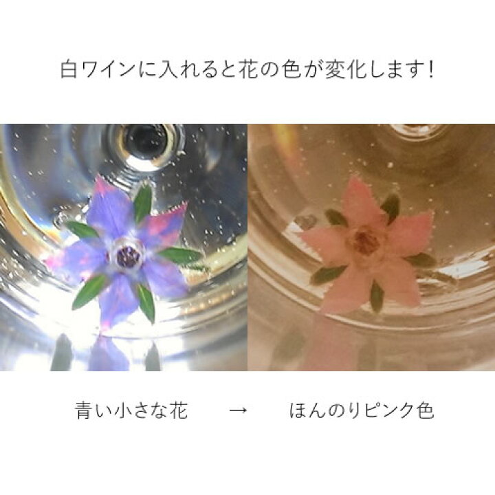 ハーブ エディブルフラワー 1袋 Ytc73 タネ ボリジ 種 約30粒 菜類 野菜たね 最大 Offクーポン タネ