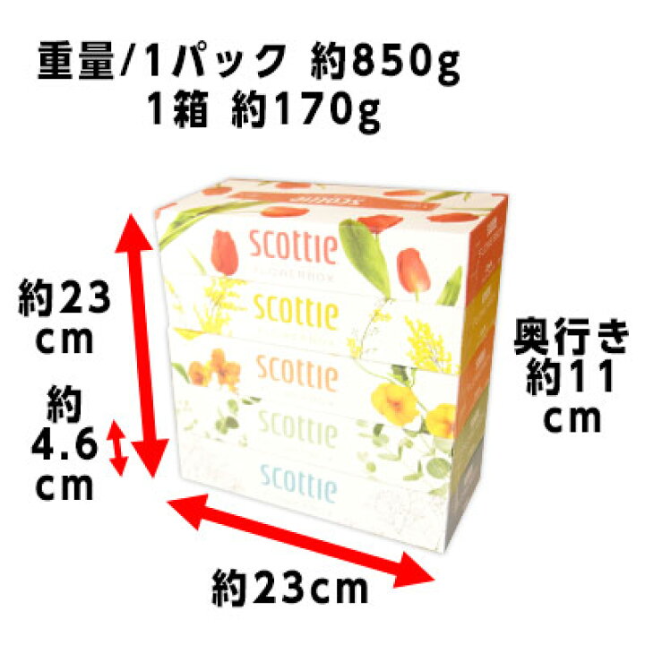 NEW限定品】 まとめ 日本製紙クレシア スコッティティシュー フラワー 160組 箱 1セット 60箱 fucoa.cl NEW限定品】 まとめ 日本製紙クレシア スコッティティシュー フラワー 160組 箱 1セット 60箱 fucoa.cl