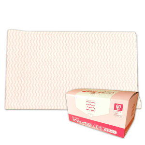 NVA JE^[NX ^Cv sN 60 × 2 v120 y{NVA Ɩp 80TCYzy65322 ×2z