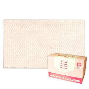 NVA JE^[NX ^Cv sN 100 × 2 v200 y{NVA Ɩp 80TCYzy65422 ×2z