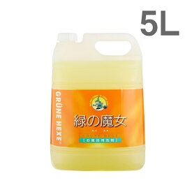 【即納】緑の魔女 バス用洗剤 5L【日本製】【洗濯用品せんざい・クリーナー】