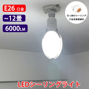 LED�V�[�����O���C�g �`12�� 6000LM 50W LED�d�� 400W���� E26 �����|���V�[�����O�����I�� �����F 400W���ⓔ���� LED�d�� �R�[�����C�g EX-50w