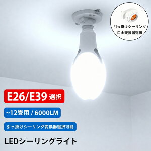 LED�d�� ���ⓔ�^ 400W���� LED�R�[�����C�g �����p 6000LM 50W ���ⓔ E26 E39 �I�� �����F �H�� �q�ɏƖ� �X�H�� LED���⃉���v LED�V�[�����O���C�g EX-50w