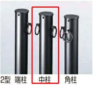 YKKAP�@�`�F�[���|�[��2�^�{�́@����T-100�@�Œ莮�@�@�@KSK
