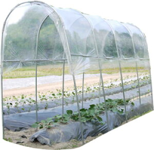 J悯nEX1pAM1235^{̃Zbg lzs