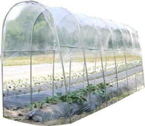 J悯nEX1pAM1253^{̃Zbg lzs