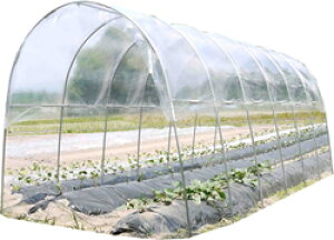 J悯nEX2pAM2253^{̃Zbg lzs