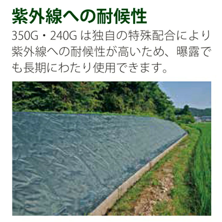 楽天市場】ザバーン 防草シート 350グリーン 3m×20m グリーン 