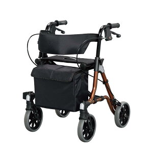 A@sԃgCN@532320@lzs