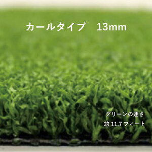 lHŃN[o[^[t J[^Cv13mm 2m×10m CTK13-210 lzs
