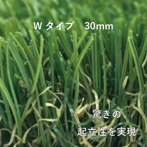 lHŃN[o[^[t W^Cv30mm 2m×10m CTW30-210 lzs