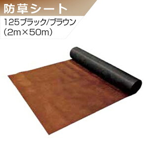 vebNX hV[g 125ubN/uE 2m×50m O[tB[h  lzs