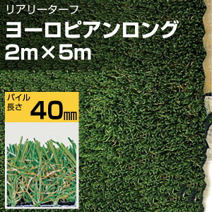 A[^[t lH [sAO 2m×5m O[tB[h  K[fjO Ő lzs