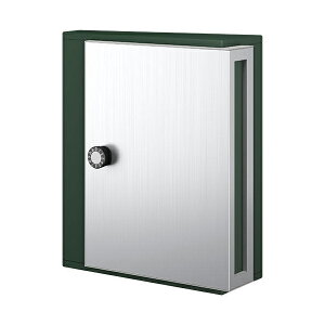 ナスタ 戸建住宅用郵便ポスト KS-MB31SN-L-DGR ダークグリーン