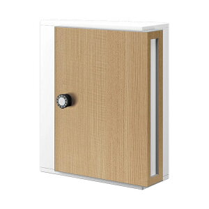 iX^ ˌZpXփ|Xg KS-MB31SN-L-W-ASH zCg×AbV