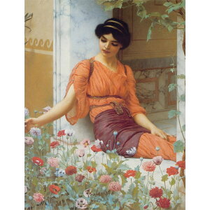 Summer Flowers y15z WEEBAESbh[h y zIׂ z  G z