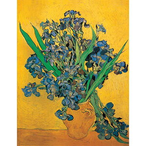 ACX̂ԕr y15z tBZgEt@ESbz y zIׂ z  G z