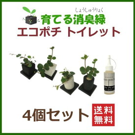 楽天市場 トイレ 観葉植物 花 観葉植物 花 ガーデン Diyの通販