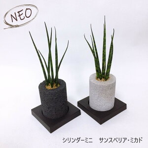 ϗtA { IV CeAO[ A ygȂ  O[ TXxA ~Jh aj JXj Mtg v[g ߂܂er fXN L ZOOM CX^ f