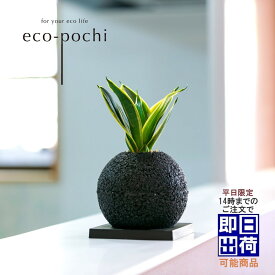 楽天市場 マイナスイオン 観葉植物の通販