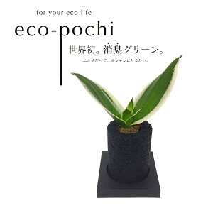 TXxA nj[ aj JXj Mtg v[g fXN ItBX  L ϗtA A CeAO[ O[ GR|` NEO V_[~j }CiXCI C