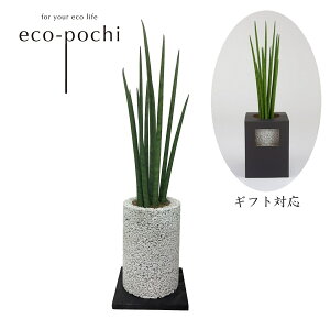 yXIXXz ϗtA { IV CeAO[ A O[ ygȂ  Vzj JXj Mtg v[g TXxA oLX L  ZOOM GR|