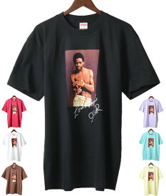 【並行輸入品】Supreme Al Green Tee シュプリーム アル グリーン ティシャツ 半袖 全7色