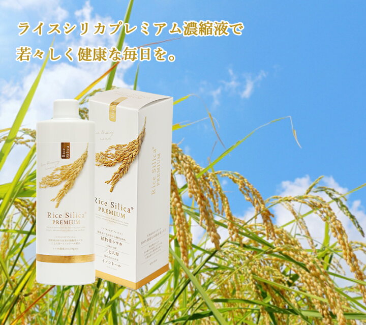 楽天市場】ライスシリカ 濃縮液 プレミアム 500ml シリカ水 ケイ素水 