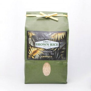  _ۂ܂ꓙ 2KG _CGbg NH ܂ ~l _ی _ۍ͔|  H _ NĐH ܂ Ɖu Lxȉh{f Q