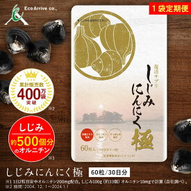 しじみにんにく極　定期便で初回限定52％OFF 健康をサポート しじみ500個分のオルニチン　無臭にんにく　すっぽん