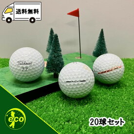 ロストボール タイトリスト PRO V1 2025年 ホワイト Bランク ゴルフボール 中古 エコボール ゴルフ ロスト 20球 30球 セット 大量 白 Titleist 送料無料