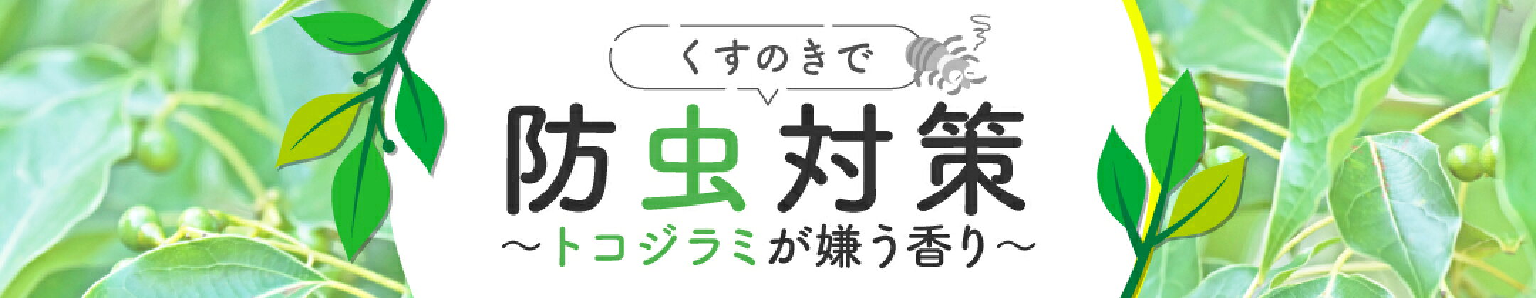 トコジラミ対策特集