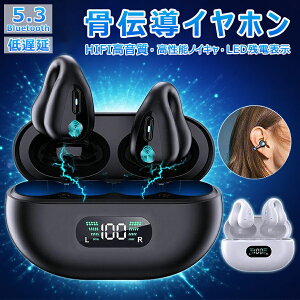 yI[vLOISiΏ50%OFFz`Cz CXCz Ў/ Bluetooth 5.3 u[gD[XCz drcʕ\ ̓ uԐڑ Hi-Fi ʘb\ }CN yA