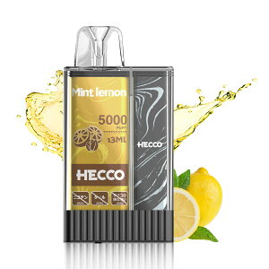 HECCO |PbgV[V ^ 5,500z\ V[V t[o[ \[ XCJ  VK[  dq^oRXeBbN C ։ObY jR`Ȃ vape  1