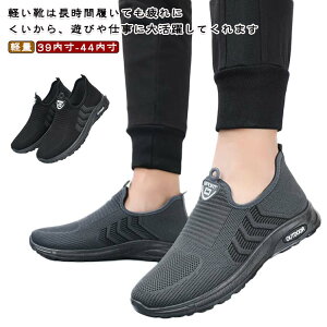 X|[c fB[X EH[LOV[Y AEghA WjA EH[LOV[Y X|[cV[Y JWA y ʊw [Jbg jOV[Y Xj[J[ Y W 