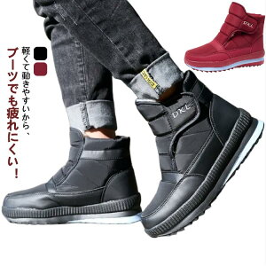 l C Xm[u[c u[c ɂ V g Y N JWA AEghA  {A fB[X s h h RR ~C C v[g WjA 傫