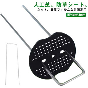 蕨 s R^s lH UsY hV[g s U^s _Ɨplbg }` 15cm _ tbN^t  Œp