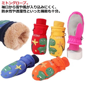 qp ۉ ʋC V Xm[ h m[{[hO[u  N h Xm[O[u O[u LbY ~ h xr[ ~p  XL[ oCN AEghA oR Xm[