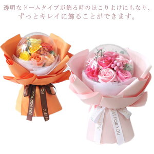 [Y zCgf[ v[g NAȃh[^Cv \[vt[ Ԃ ̓ V{t[ ͂Ȃ KN JXj Ǝ hV̓  蕨 ސEj c h[t