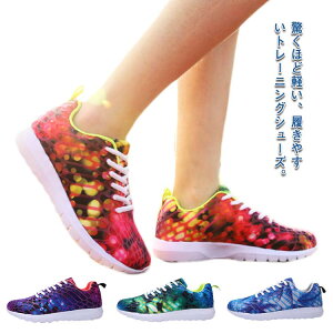 g[jOV[Y EH[LOV[Y ʋ y Xj[J[ ^C ʋC 傫TCY Y jp jOV[Y y ʊw fB[X w X|[c C V[Y ^