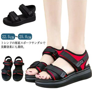 fB[X AEghA T_ X|[cT_ tbgT_ oRT_  Y  bVT_ ₷ 22.5-25cm  AEghA RtH[gT_ q[ 