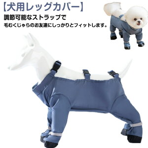  pbOJo[ TXy_[thpu[c CR[g EȂ Xy_[tppc ߉\ pV[Y h Cpc  TXy_[t Ol{p