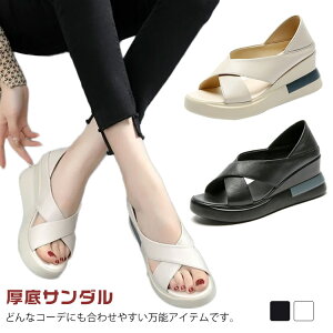 fB[X RtH[gT_ Xj[J[T_ Xj[J[ JWA fB[XT_ T_ r T_ ₷ 񂾂  Xj[J[ C ؍ U[ 