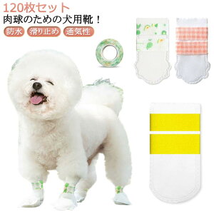 C ̉h~ LkSѕt ~ 120 pC 50 hbOu[c  Lp ی sDz ʋC C 120 y pC ĝ ybg tbgJo[ C Jo[ p 