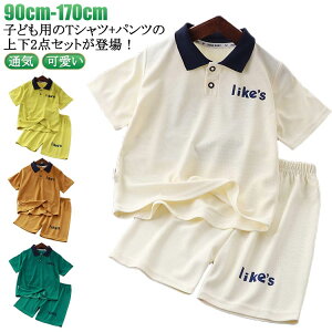 Z q xr[ ZbgAbv ㉺Zbg ؍q W[W  ̎q j̎q tVc bt ʋC ZbgAbv V[gpc   WjA ؍ǂ X|