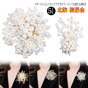   w  Ǝ p[ p[eBhX }}X[c  RT[W p[eBhX }}   t[ u[` w  tH[}  k fB[X  