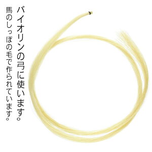 nѐ | oCI| ւ n yANZT  oCI |̖ёւp 悢F oCI| `F rI C ёւ oCI 2s[XZbg