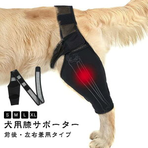 ݑPA  O㑫Ep ֐߃veN^[ yA pi  Œ  G T|[^[ ybgpPApi ܎ V nr VjA I  r I V 
