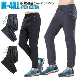 X|[cEFA ڐG⊴  ڐG⊴ Ђ WK[pc X|[cpc Y t jOpc  X|[cEFA Y{ Y Y{ Xgb` ^Cv X|